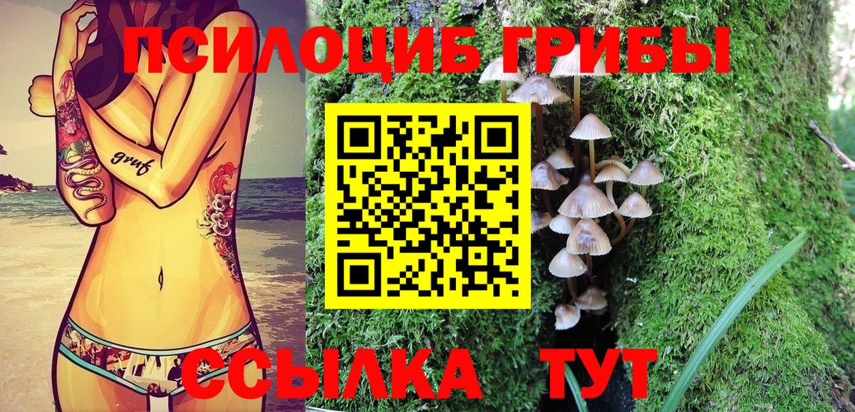 Галлюциногенные грибы Psilocybe Кемерово